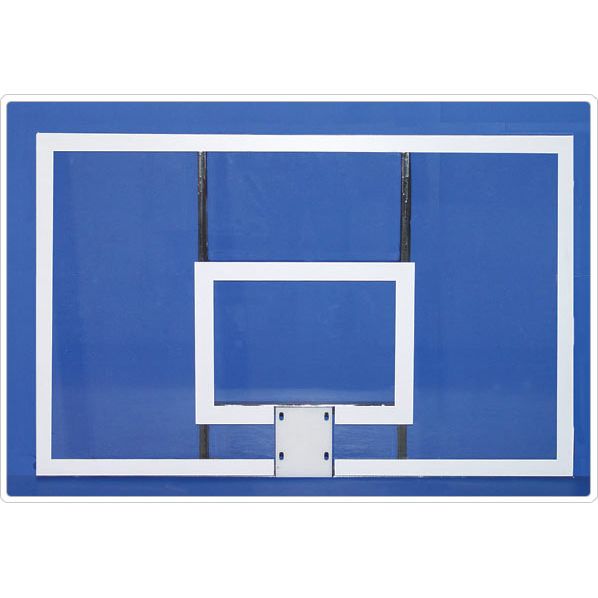 Acrylic Rectangular Backboard w/ Official Goal & Nylon Net