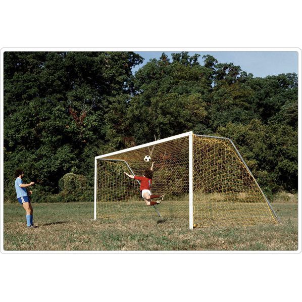 Official Steel Soccer Goal (pair)