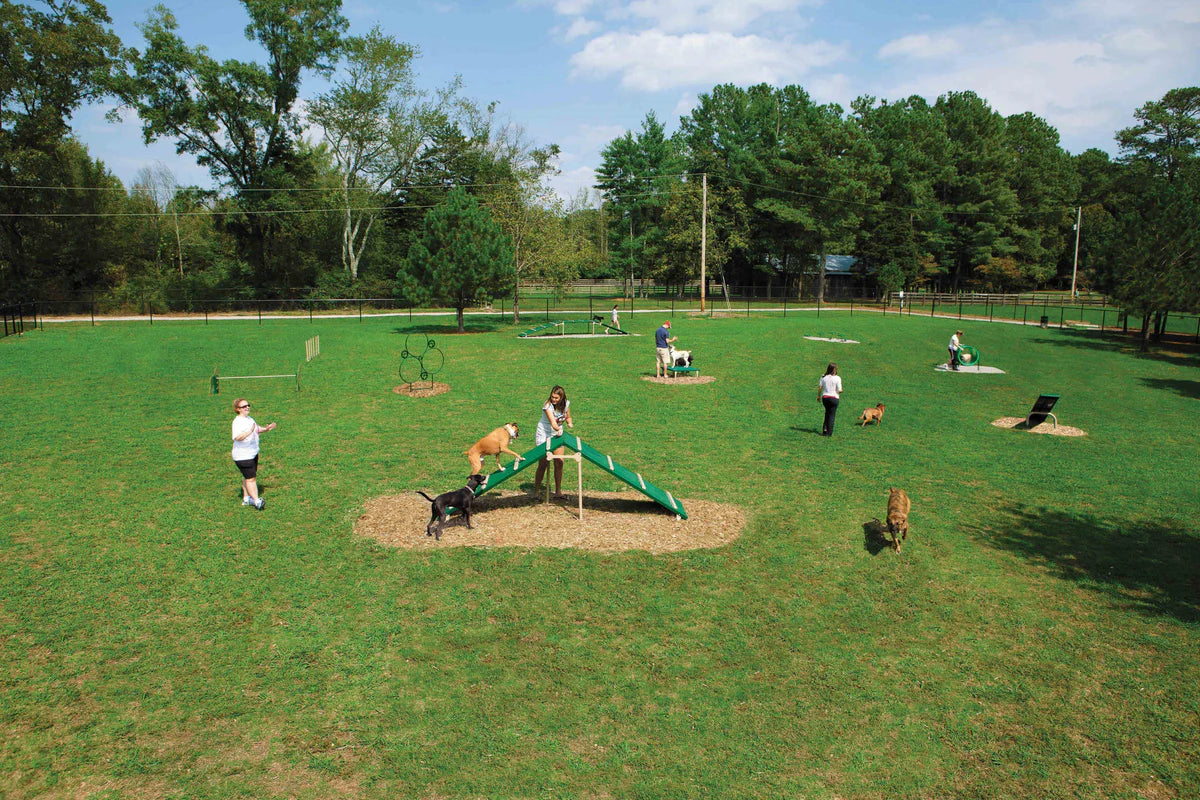 PawPath Dog Park Ramp